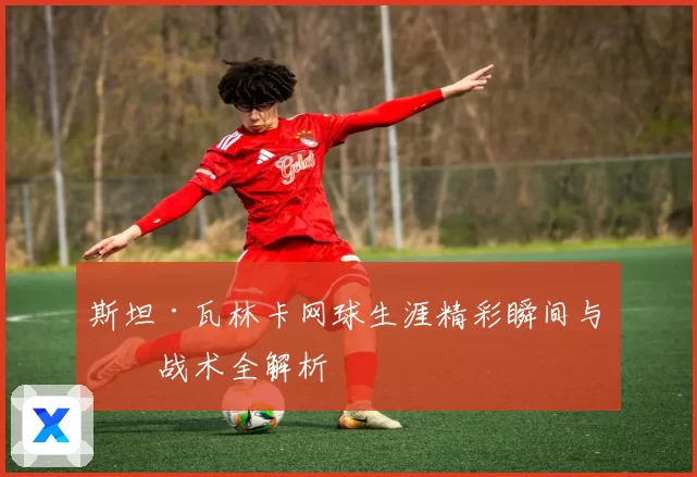 斯坦·瓦林卡网球生涯精彩瞬间与技战术全解析