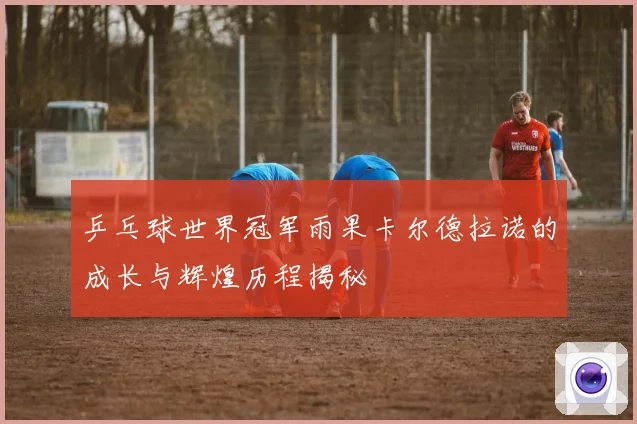 乒乓球世界冠军雨果卡尔德拉诺的成长与辉煌历程揭秘