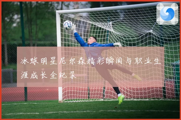 冰球明星尼尔森精彩瞬间与职业生涯成长全纪录