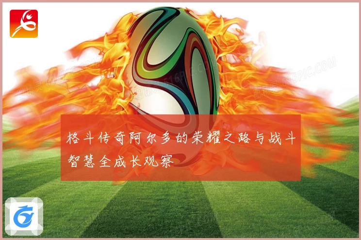 格斗传奇阿尔多的荣耀之路与战斗智慧全成长观察