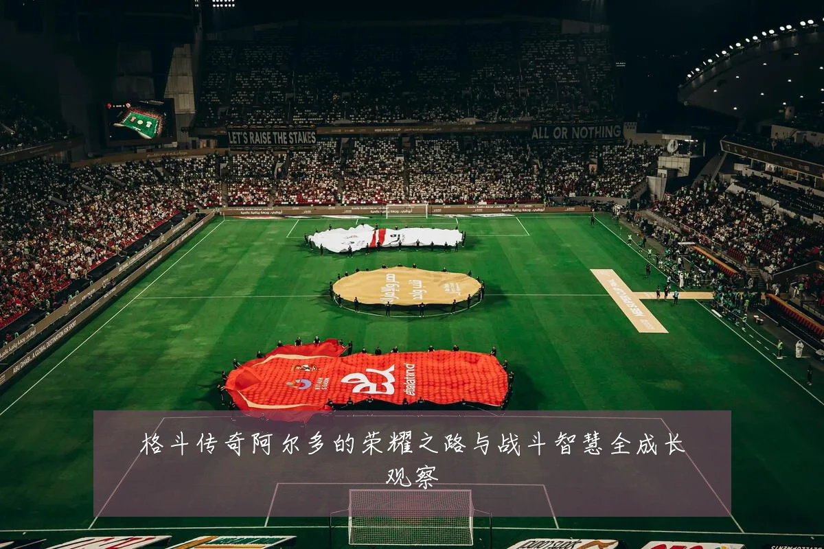 格斗传奇阿尔多的荣耀之路与战斗智慧全成长观察